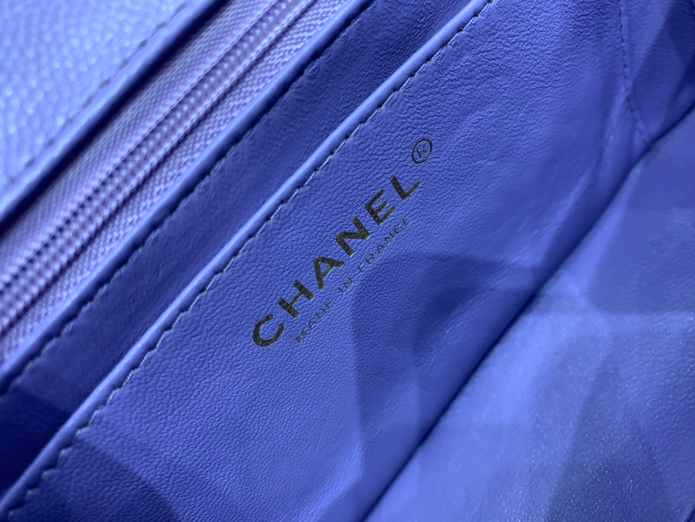 Chanel Bag 20 cm