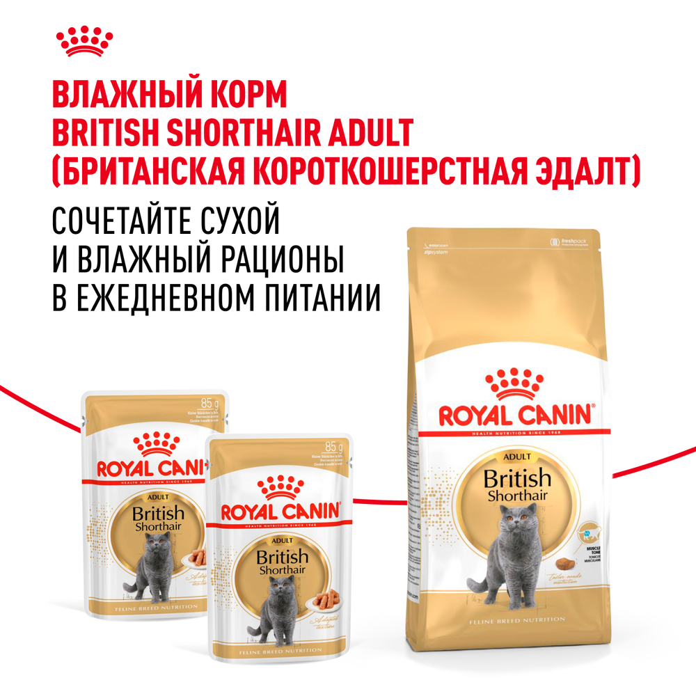 Сухой корм Royal Canin British Shorthair Adult для взрослых британских короткошерстных кошек 10кг