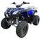 Квадроцикл MOTAX ATV Grizlik 200