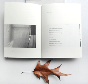 Сад мирозданья