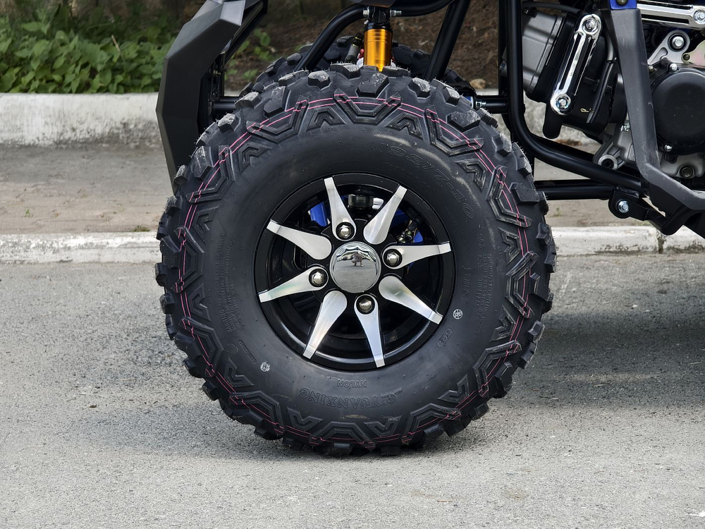 LION 200R синий