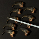 Когти медведя