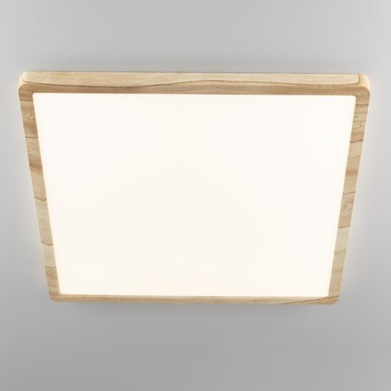 CL738K502V Бейсик Клен Св-к Накл. LED 50W*Мульти