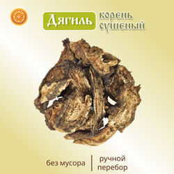 Дягиль корень.