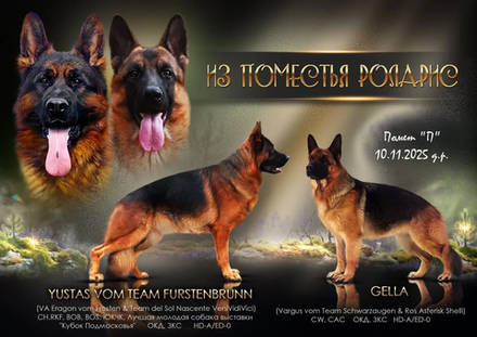 Помет "П" 10.11.2025 д.р. подробнее...→
