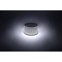 Светодиодная лента ЭРА LS2835-14,4-180-12-6500K-IP20-1 year-5m холодный белый 1 год