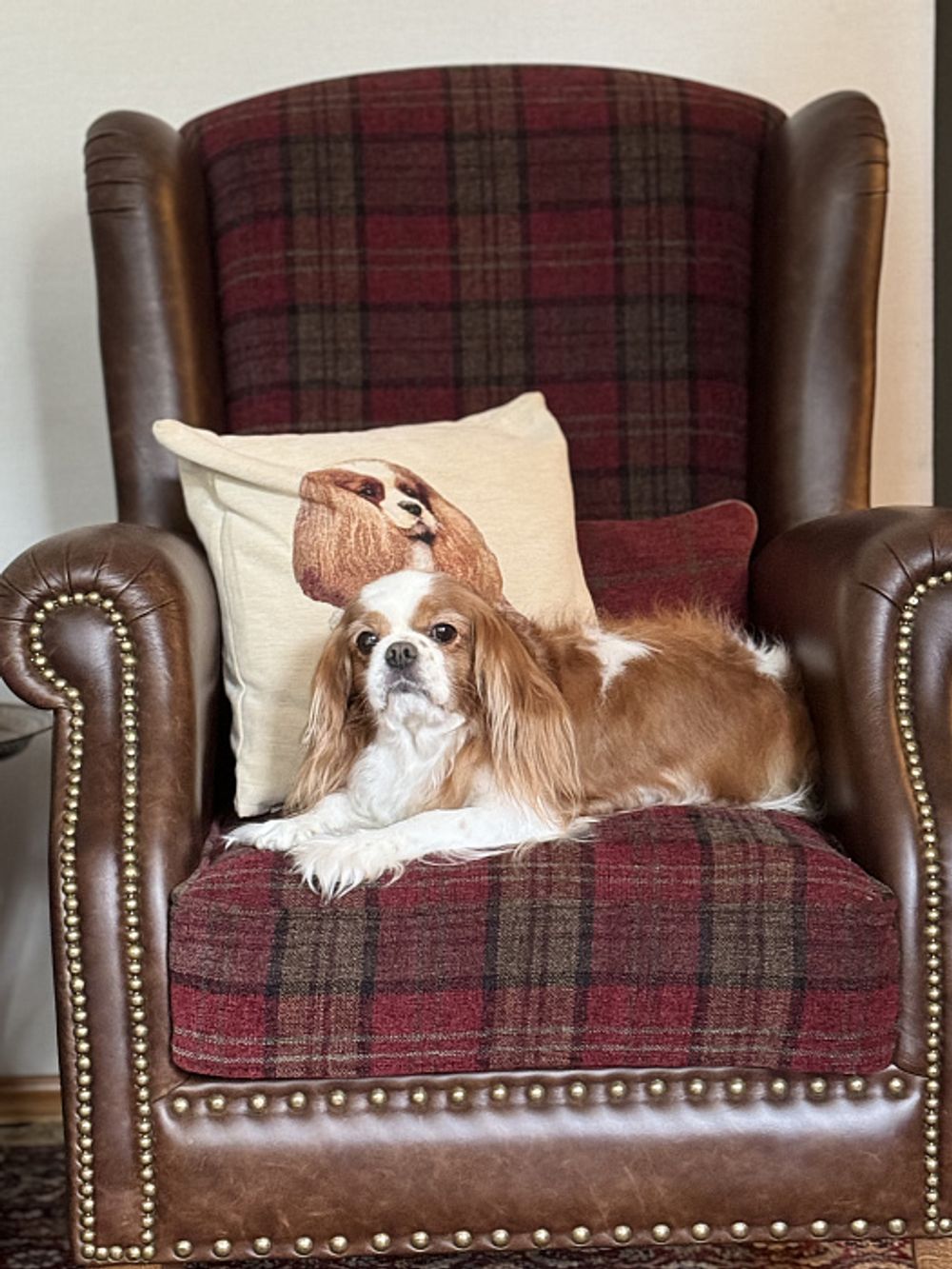 Кресло "Корнер Рэд"