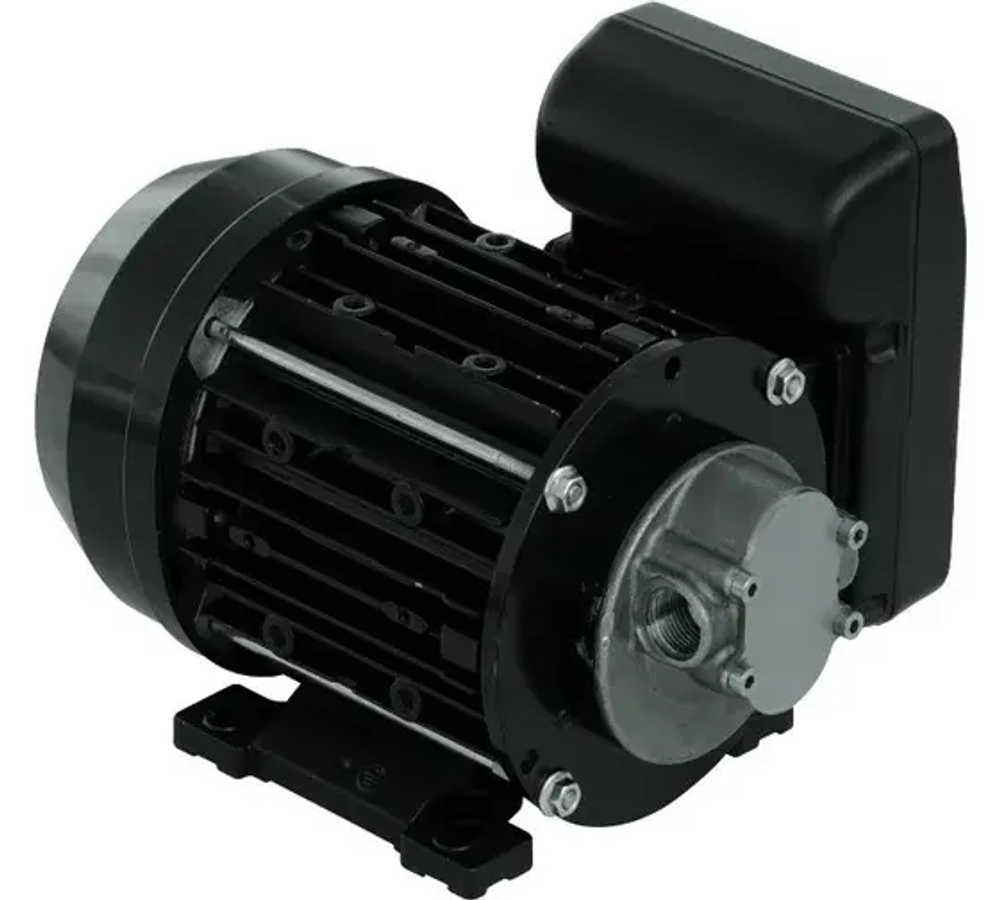 Garda 5 230V - Электрический шестеренчатый насос для масла и ДТ, 10 л/мин