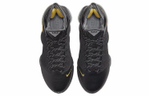 Кроссовки Nike Lebron 19 Low "Witness" 19