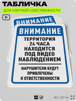 Табличка для частной территории "Внимание, территория находится под видеонаблюдением", на дом, для участка, организаций, предупреждающая, 40х30 см, Silver Plane x Айдентика Технолоджи