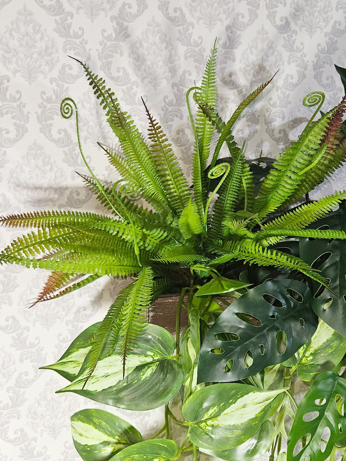 Ампельная зелень в деревянном настенном кашпо