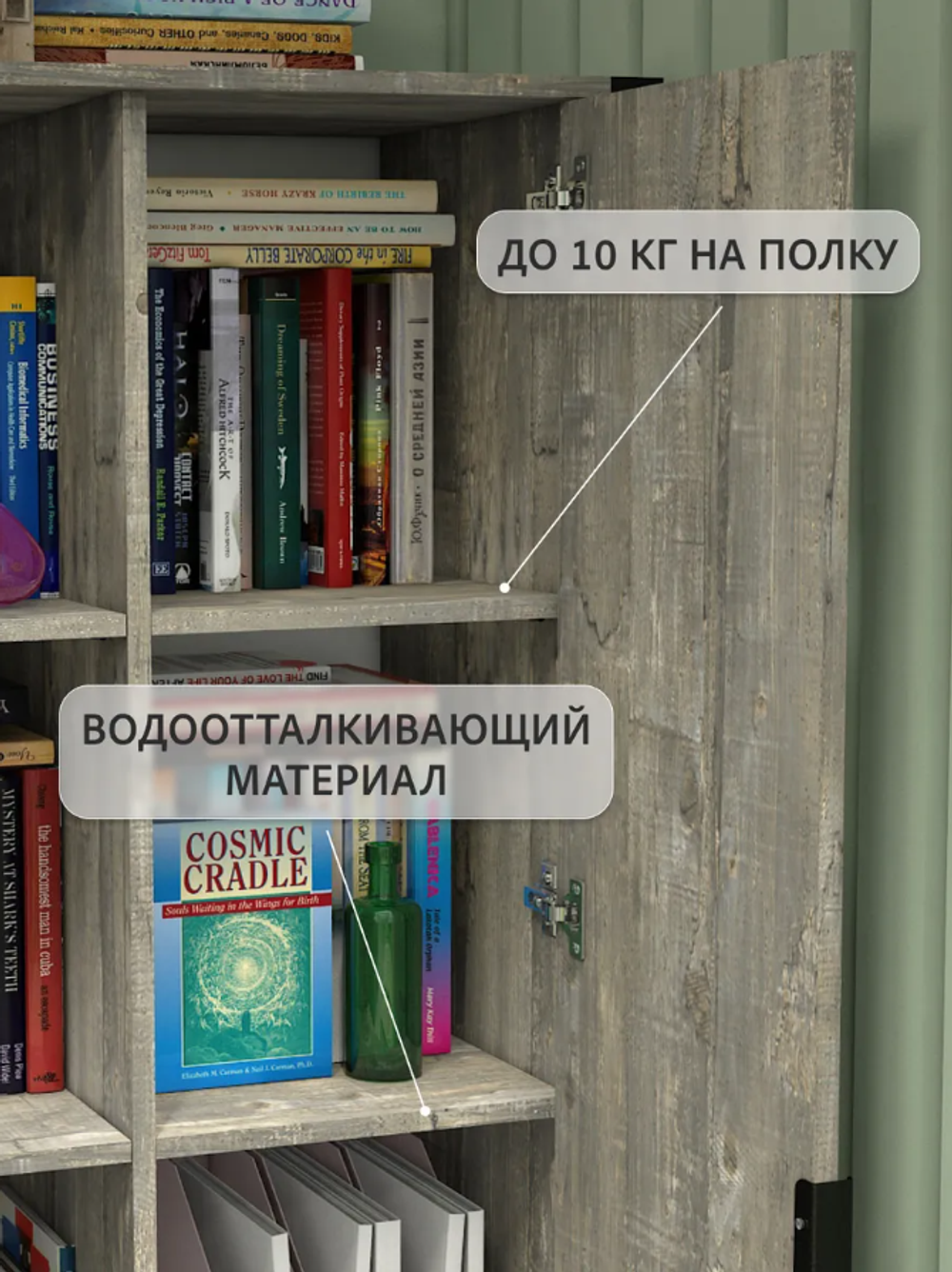 Шкаф распашной двухдверный с полками в прихожую для одежды Кодар