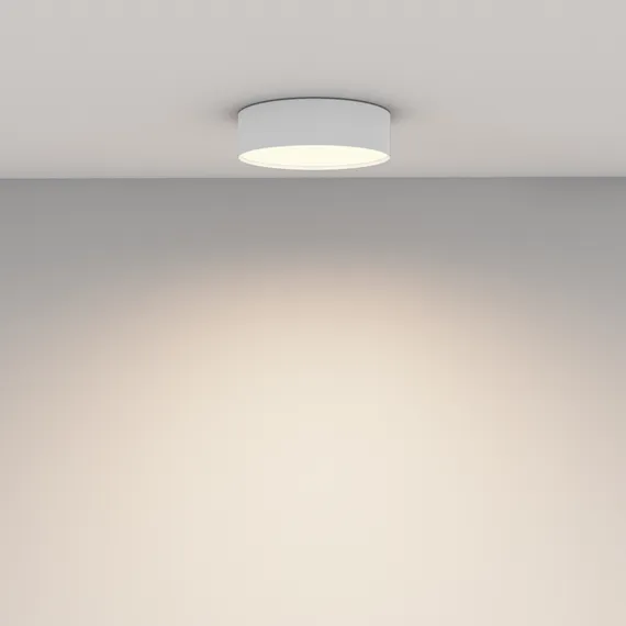 Потолочный светильник Зон / Zon 24 Вт 3000 К 120° Technical c032cl-24w3k-rd-w