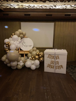 Фотозона на мольберте для Гендер-пати