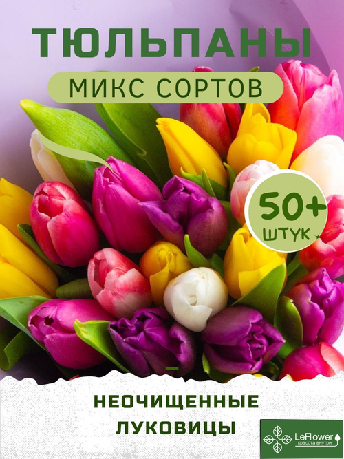Тюльпан Луковицы неочищенные, Микс сортов, 50шт+