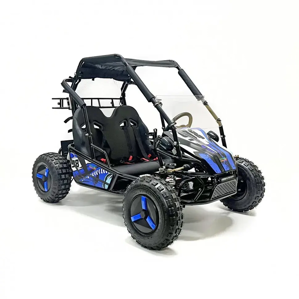 Багги Green Camel Намиб T10 (60V 2000W R8 Дифф)
