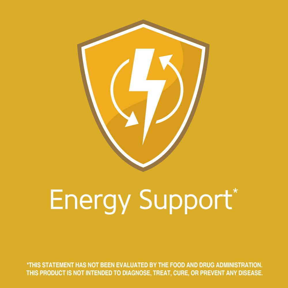 21st Century, В6, 100 мг, 110 таблеток