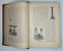 Гесдерфер М. Комнатное садоводство. СПб. Изд. Девриена, 1898г.