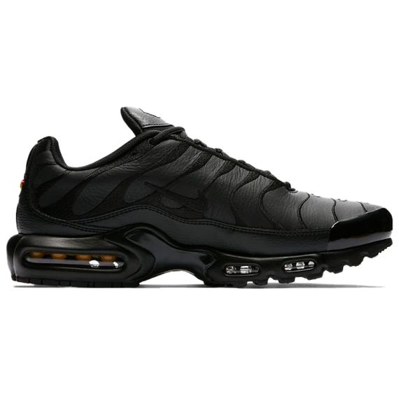 Кроссовки Nike Air Max Plus Мужские