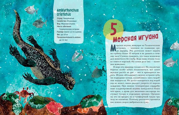 Ящерицы. Великолепная десятка