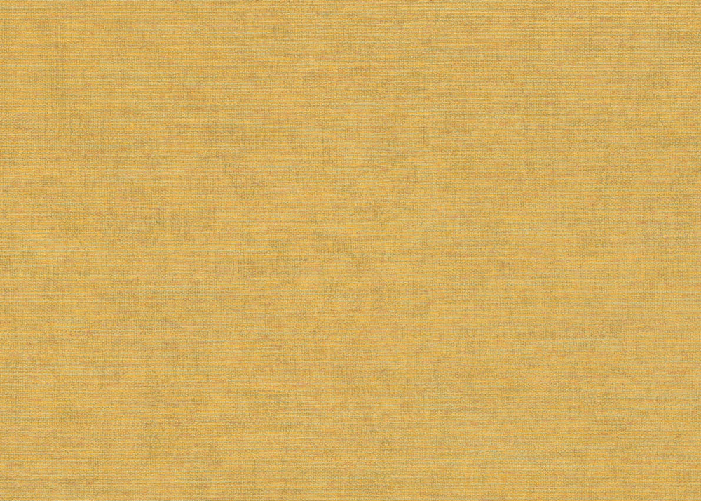 Обои Jannelli & Volpi 171 Ikat 6416