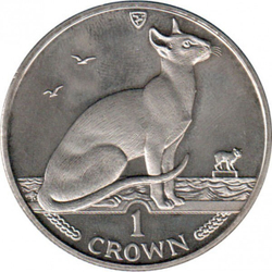 Сиамская кошка