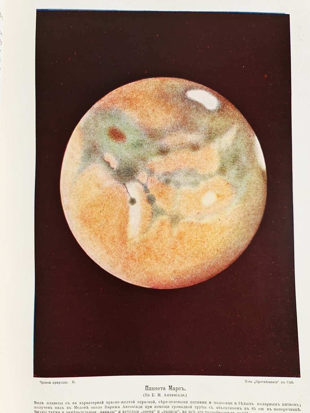 "Чудеса природы. Популярные очерки, посвященный описанию любопытнейших явлений и достопримечательностей трех царств природы. В 2-х томах". В.М.Шимкевич. 1915г. - антикварная книга