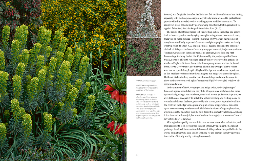 Drought-Resistant Planting: Lessons from Beth Chatto's Gravel Garden