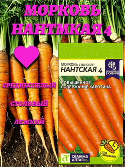 Морковь Нантская 4 (2 гр). Семена Алтая