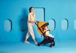 Детская прогулочная коляска Anex AIR-X Ax-04/L yellow