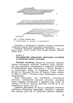 Практикум по цветоводству | А.А. Чувикова