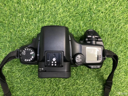 Canon 33