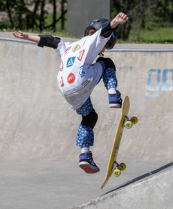 Скейтборд Birdie 28"X8"