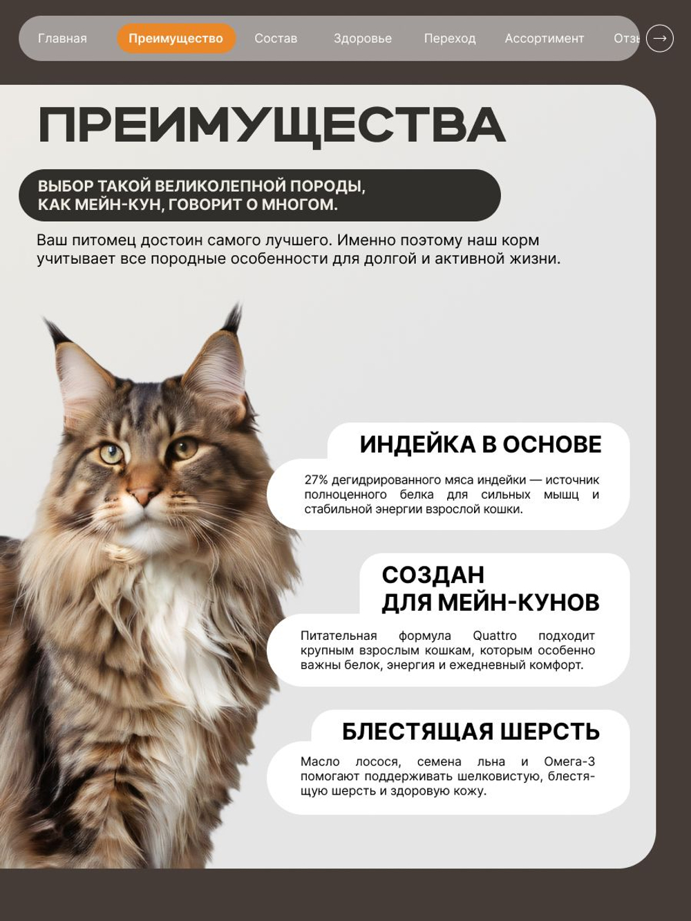 Корм сухой для кошек породы Мейн-кун, с индейкой, 2 кг, QUATTRO