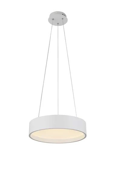 2541/400P WHITE (1) Подвесной светильник (RL)