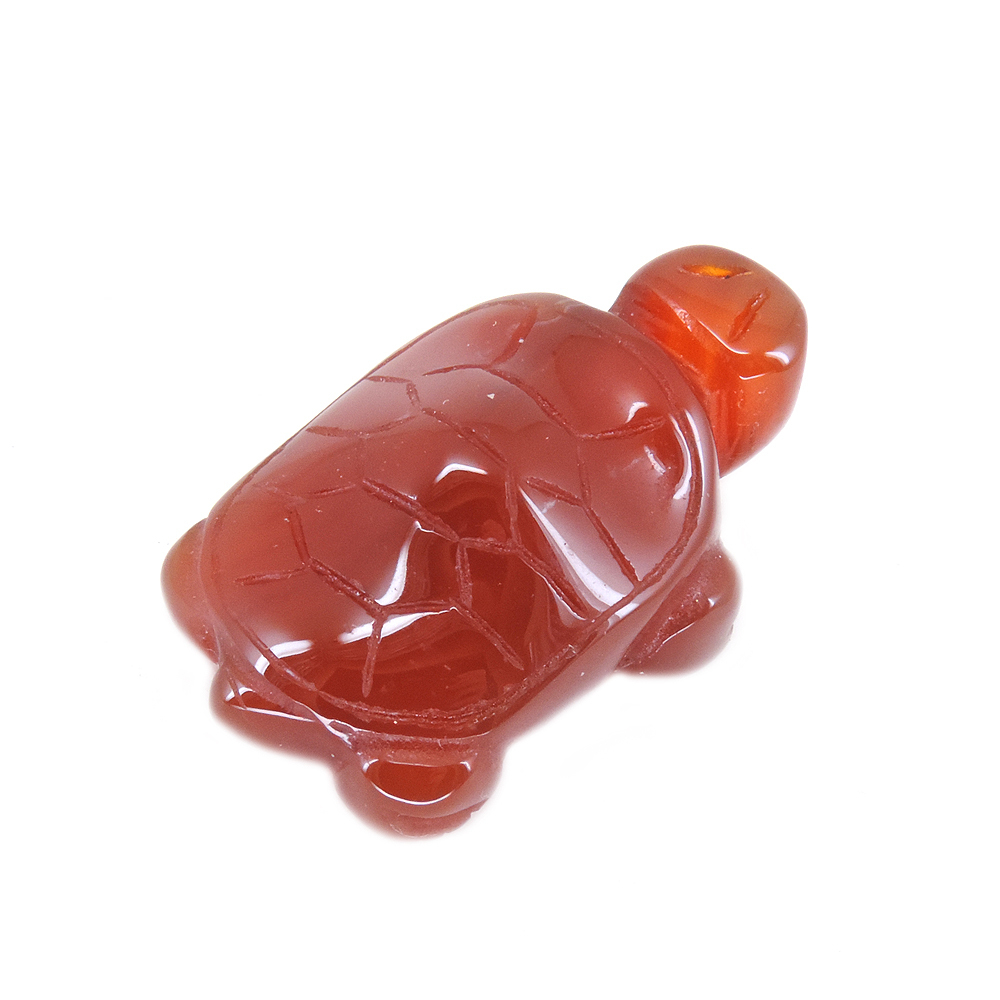 Черепашка сердолик 9,7