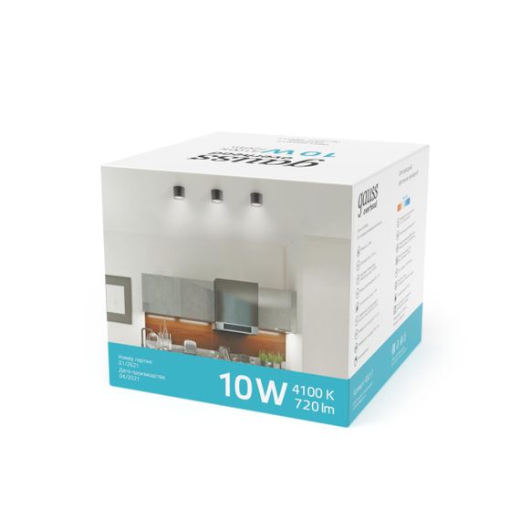 Потолочный светодиодный светильник Gauss Overhead HD020