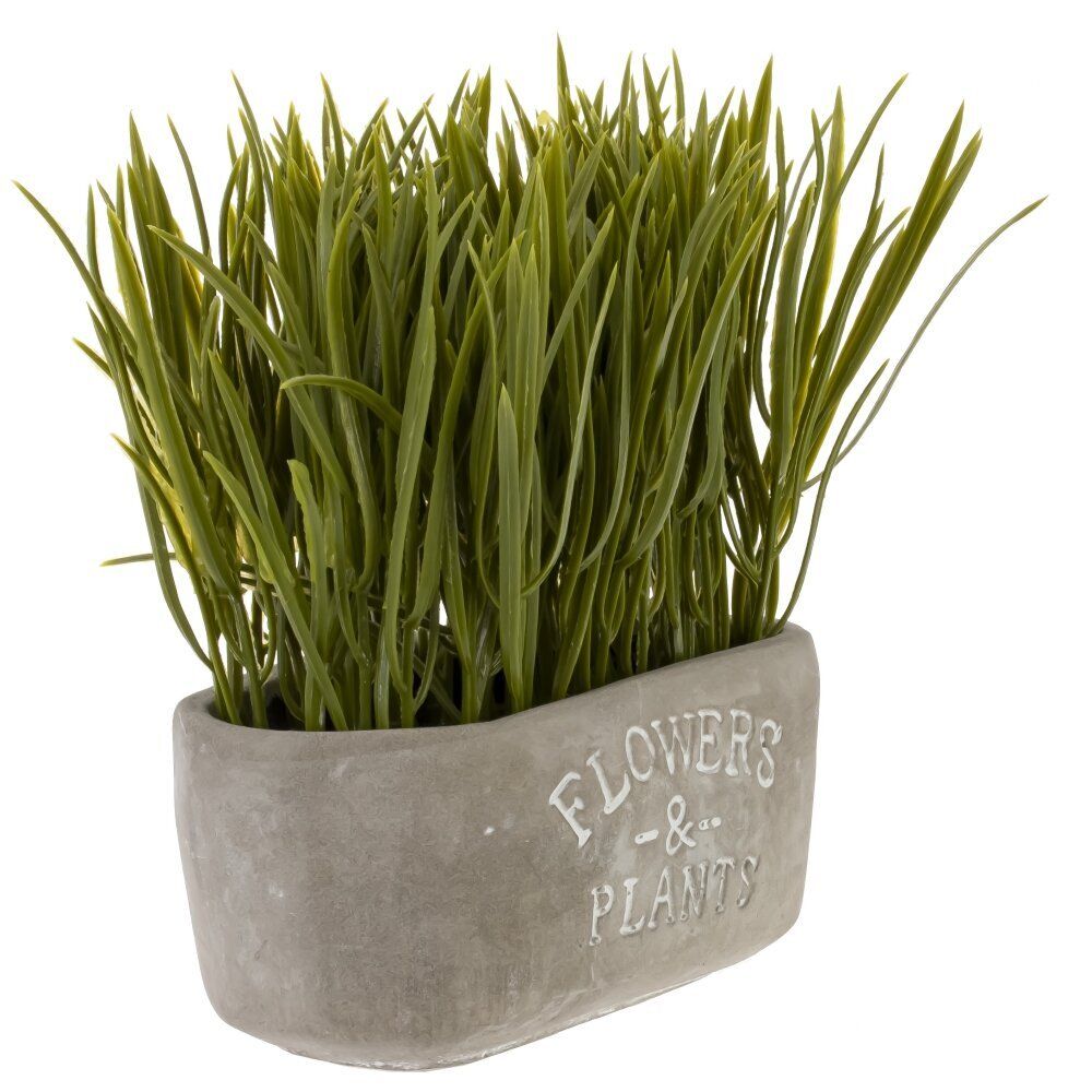 GAEM Цветочная композиция "Осока", L14 W7,5 H16 см