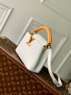 Louis Vuitton Capucines Mini