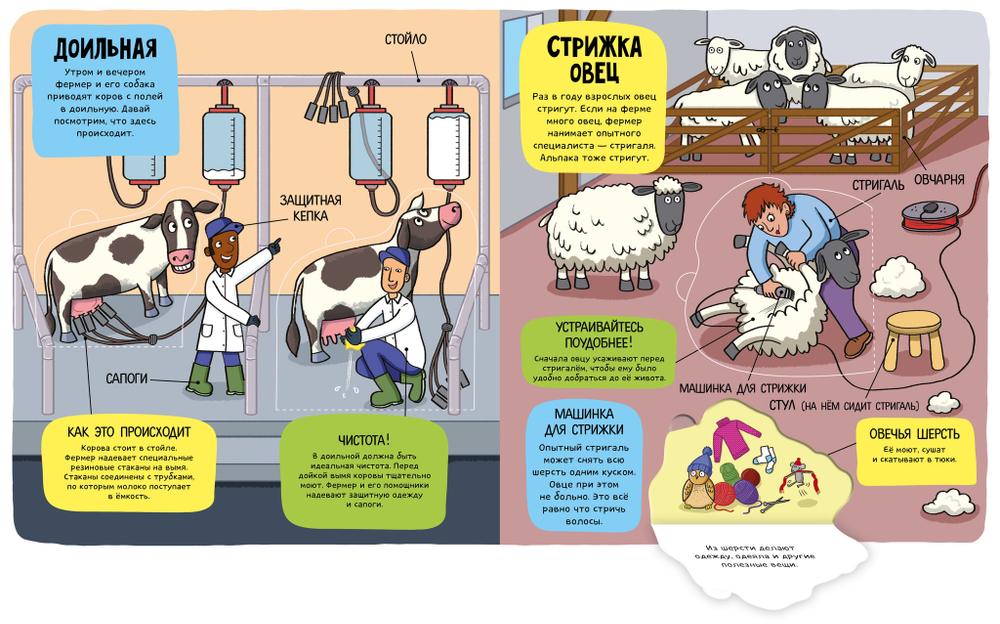 Маленькие исследователи (книжки с клапанами). На ферме
