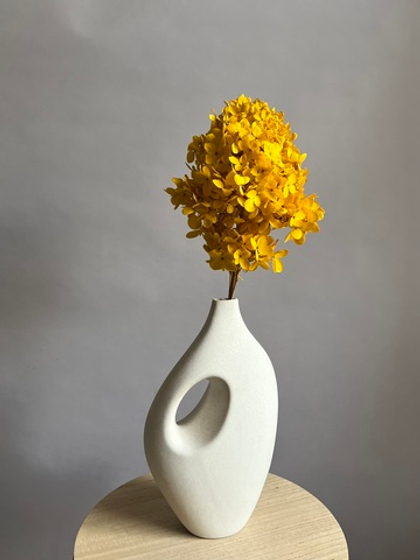 Гортензия стабилизированная горчичная крупнолистная