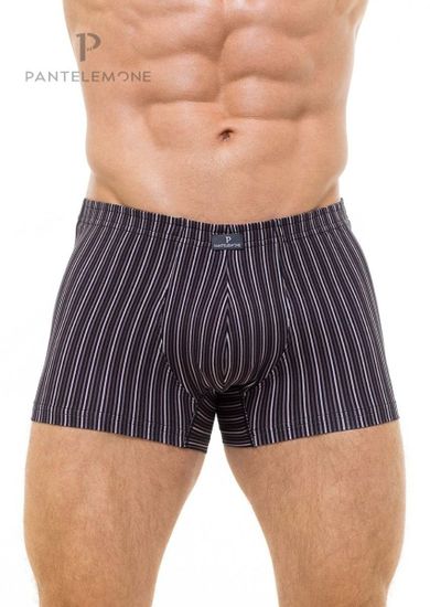 Трусы мужские боксеры для больших мужчин Pantelemone PMHB-1168, полоса какао