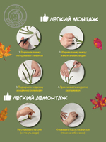 Наклейка декоративная "Набор осенних листьев"