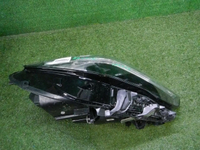 DSCN6003.JPG