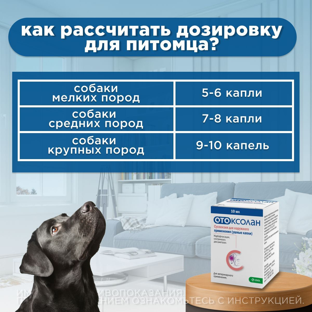 Ушные капли для лечения отита бактериальной и грибковой этиологии с обезболивающим и противозудным эффектом для собак Отоксолан (KRKA),10мл Марбофлоксацин/Клотримазол/Дексаметазон