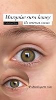 Медовые линзы с окантовкой на 12 месяцев Marquise sura Honey  / Линзы в стиле Acuvue define