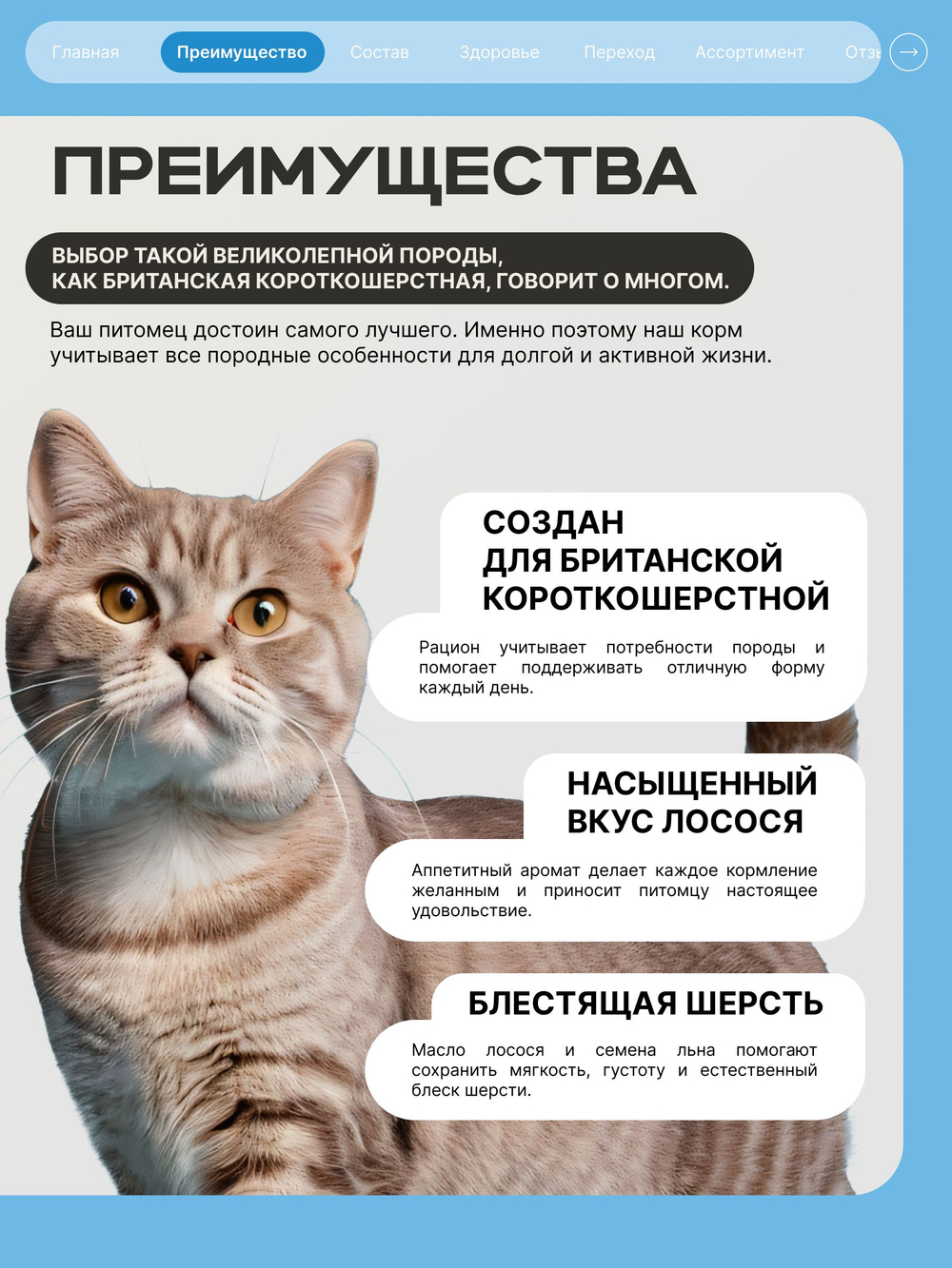 Корм сухой для взрослых кошек породы Британская короткошерстная, с лососем, 400 гр, QUATTRO