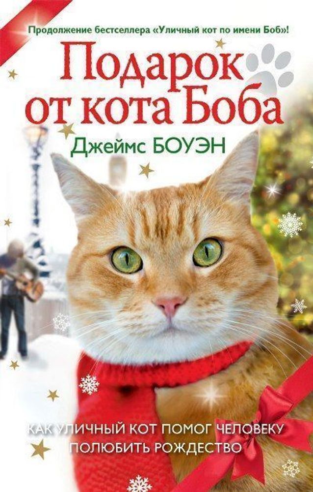 Подарок от кота Боба