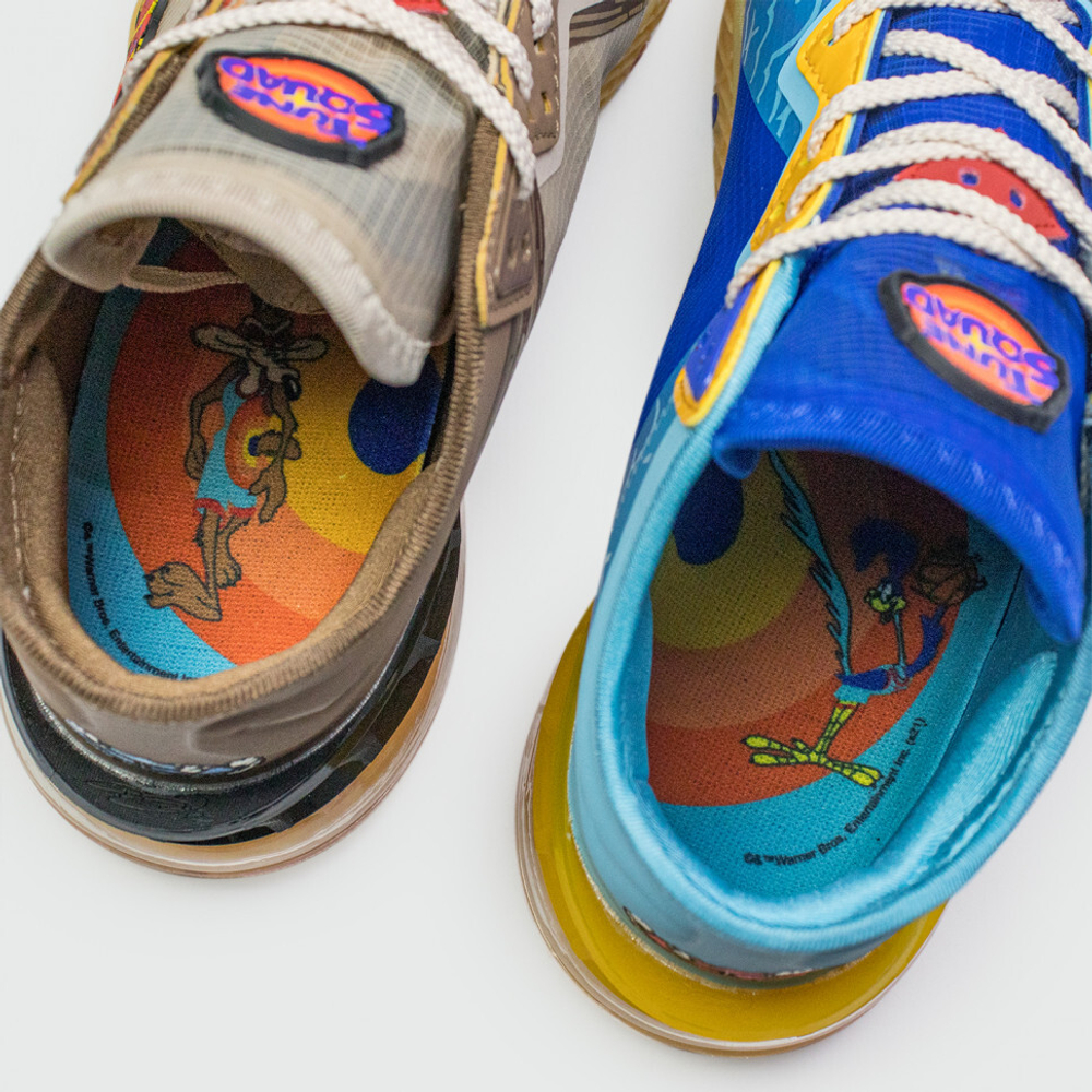 кроссовки Nike Lebron 18 Low Tune Squad