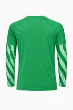 Вратарская кофта Nike Dri-FIT Park V GK Детская - зеленый